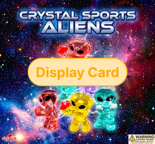 Display card overlay 2inch