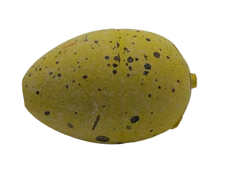 1" Dinosaur Water Hatching Eggs