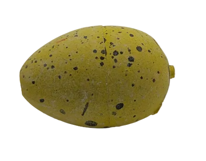 1" Dinosaur Water Hatching Eggs