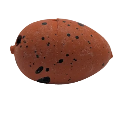 1" Dinosaur Water Hatching Eggs