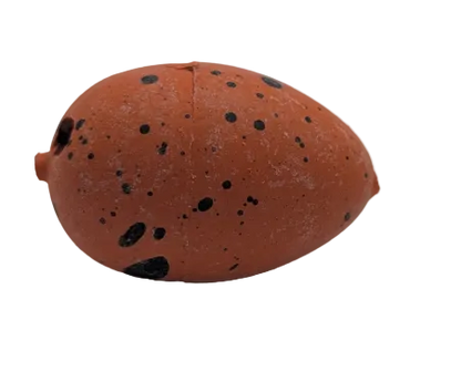 1" Dinosaur Water Hatching Eggs