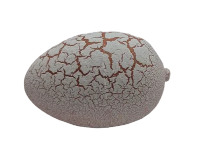 1" Dinosaur Water Hatching Eggs
