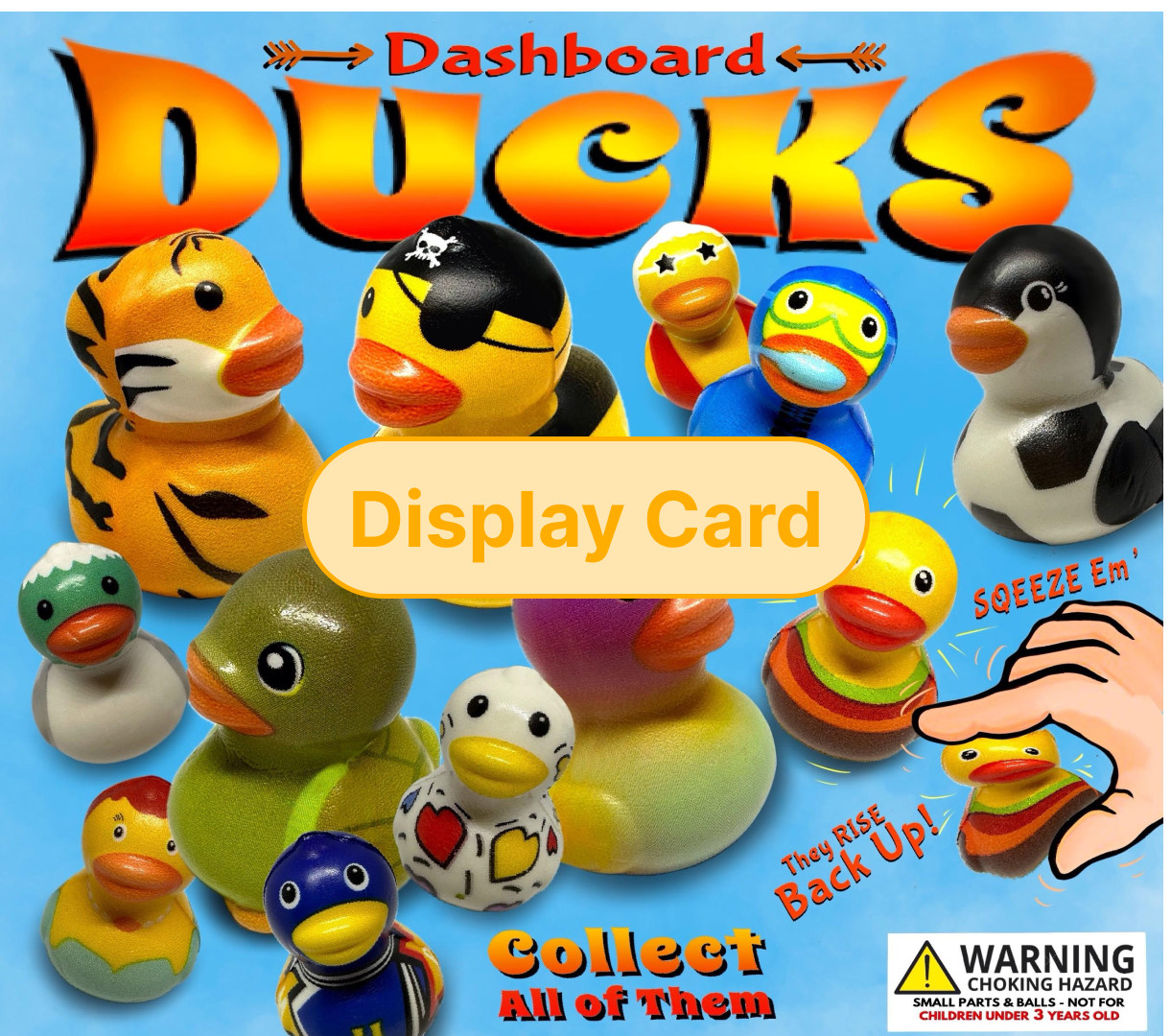 Display Card - 2" Dashboard Ducks
