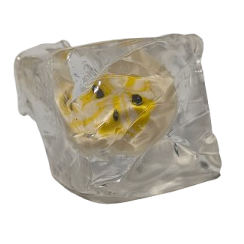 2" Mini Squishy Ice Flubby Cube With Fruit