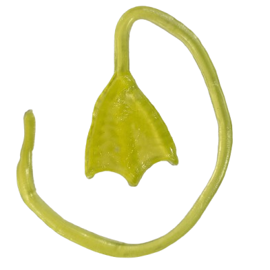 Medium Soft Sticky Flinger Toys