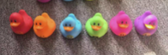 2" Assorted Solid Color Ducks