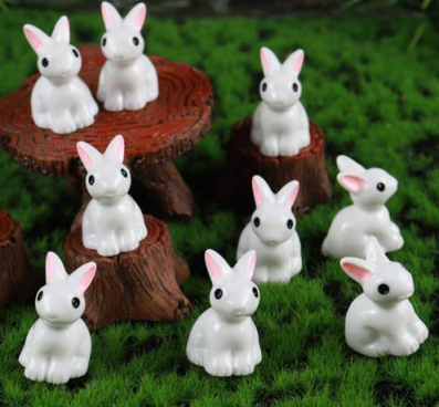 2" White Rabbits
